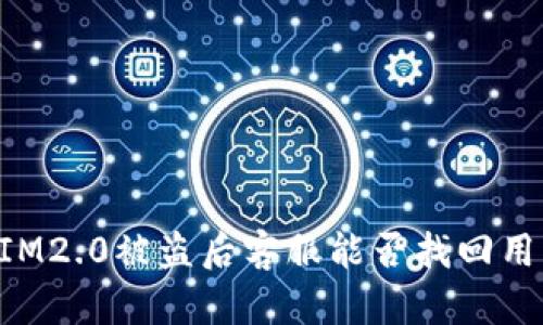  TokenIM2.0被盗后客服能否找回用户资产？
