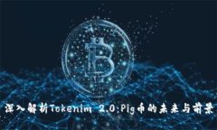 深入解析Tokenim 2.0：Pig币的