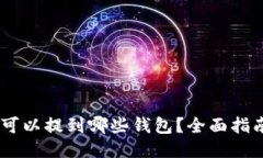 SHIB币可以提到哪些钱包？