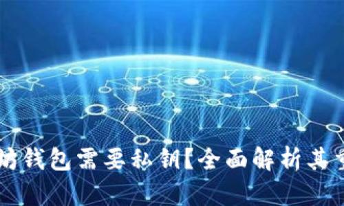 为什么以太坊钱包需要私钥？全面解析其重要性和作用