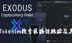 如何使用Tokenim搜索区块链