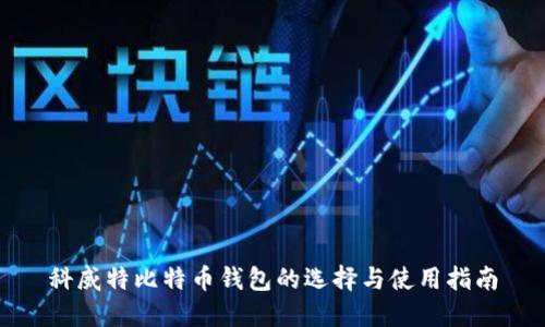 科威特比特币钱包的选择与使用指南