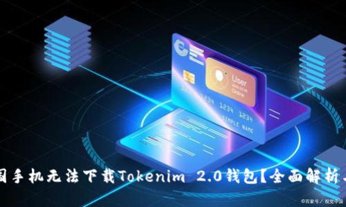 为什么中国手机无法下载Tokenim 2.0钱包？全面解析与解决方案