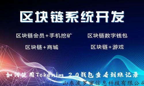 如何使用Tokenim 2.0钱包查看到账记录