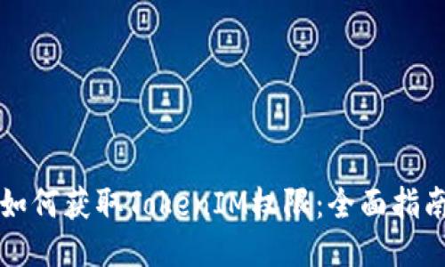 如何获取TokenIM权限：全面指南