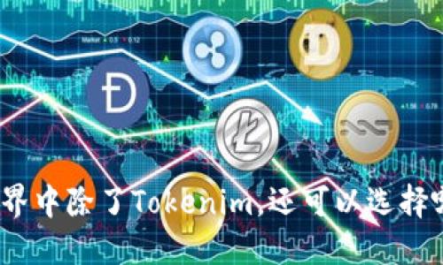 在数字货币世界中除了Tokenim，还可以选择哪些优秀钱包？