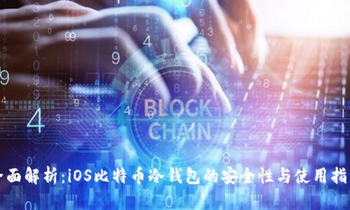 全面解析：iOS比特币冷钱包的安全性与使用指南