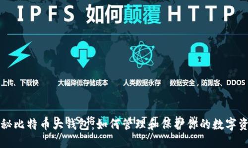 揭秘比特币大钱包：如何管理和保护你的数字资产