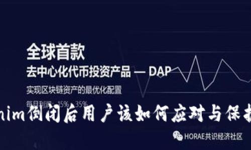  Tokenim倒闭后用户该如何应对与保护资产？