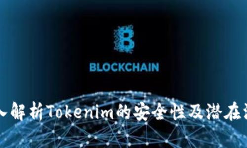 深入解析Tokenim的安全性及潜在漏洞