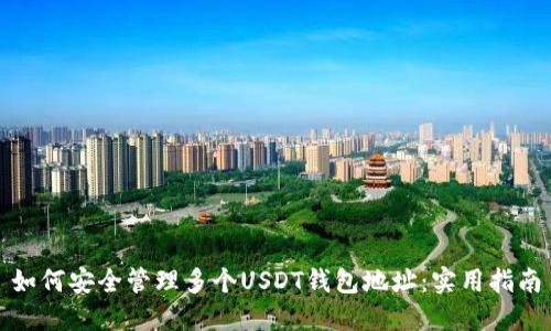如何安全管理多个USDT钱包地址：实用指南