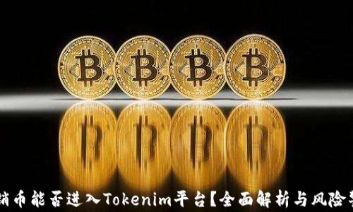 
传销币能否进入Tokenim平台？全面解析与风险警示