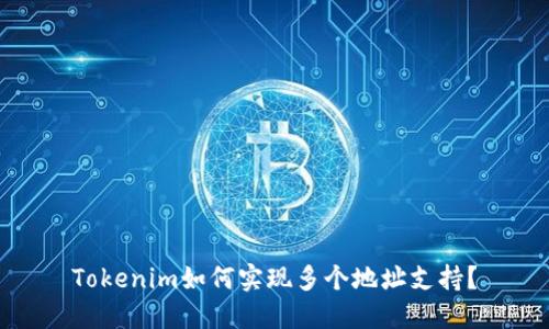 Tokenim如何实现多个地址支持？