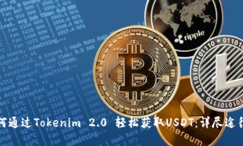 : 如何通过Tokenim 2.0 轻松获取USDT：详尽途径解析
