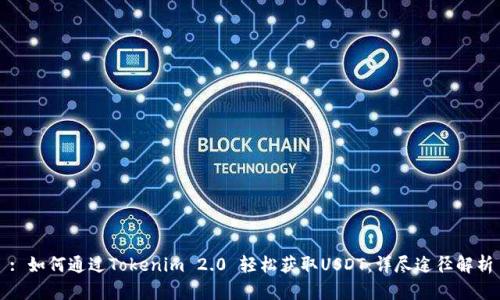 : 如何通过Tokenim 2.0 轻松获取USDT：详尽途径解析