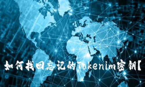 如何找回忘记的Tokenim密钥？