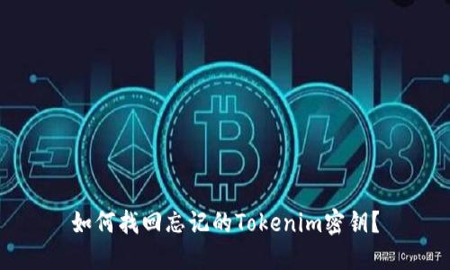 如何找回忘记的Tokenim密钥？