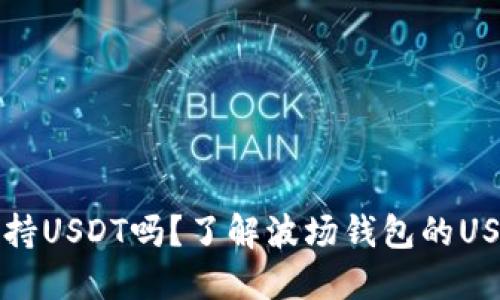 波场钱包支持USDT吗？了解波场钱包的USDT使用指南