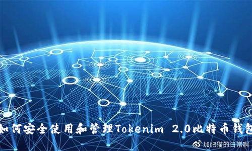 如何安全使用和管理Tokenim 2.0比特币钱包