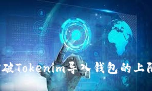 如何突破Tokenim导入钱包的上限限制？