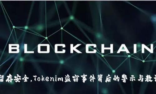 留存安全，Tokenim盗窃事件背后的警示与教训