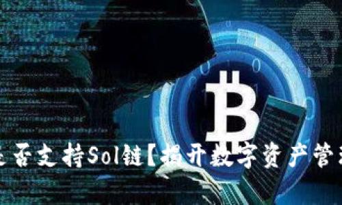 TP钱包是否支持Sol链？揭开数字资产管理的真相