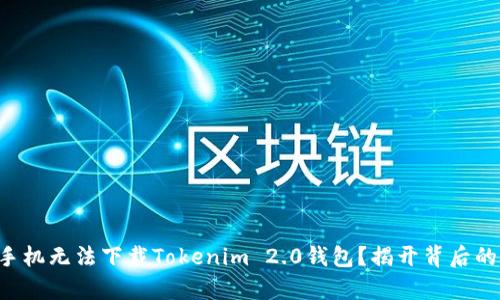 苹果手机无法下载Tokenim 2.0钱包？揭开背后的真相！