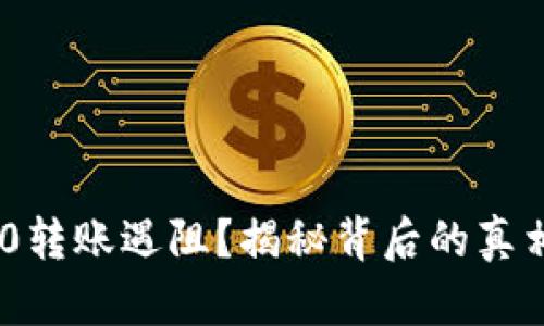 Tokenim 2.0转账遇阻？揭秘背后的真相与解决方案