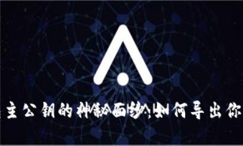 揭开比特币钱包主公钥的神秘面纱：如何导出你的数字资产前沿