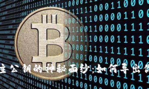 揭开比特币钱包主公钥的神秘面纱：如何导出你的数字资产前沿