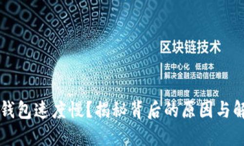 以太坊钱包速度慢？揭秘背后的原因与解决方案
