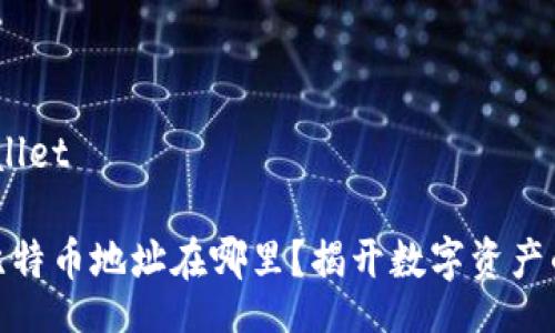 wallet/wallet

钱包里的比特币地址在哪里？揭开数字资产的神秘面纱