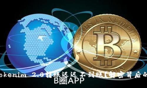 为何Tokenim 2.0转账迟迟不到账？解密背后的真相！