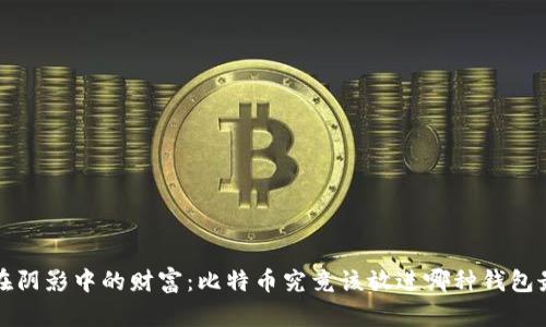  隐藏在阴影中的财富：比特币究竟该放进哪种钱包最安全？