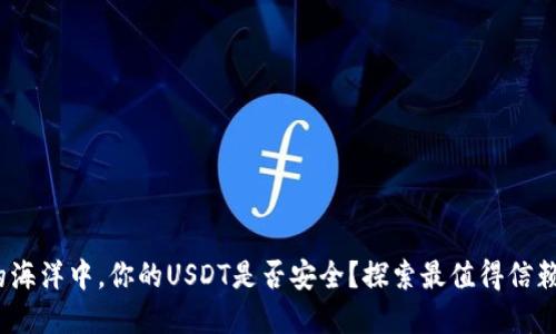  在数字资产的海洋中，你的USDT是否安全？探索最值得信赖的冷钱包选择