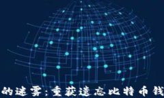 打破密码的迷雾：重获遗