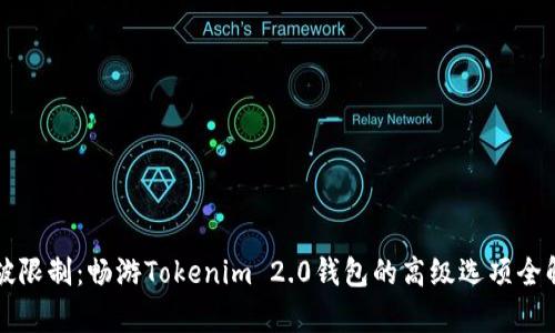打破限制：畅游Tokenim 2.0钱包的高级选项全解析