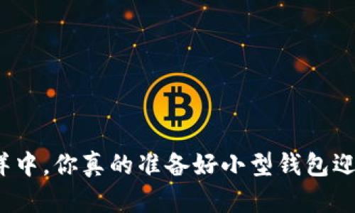 在加密货币的海洋中，你真的准备好小型钱包迎接财富洪流了吗？