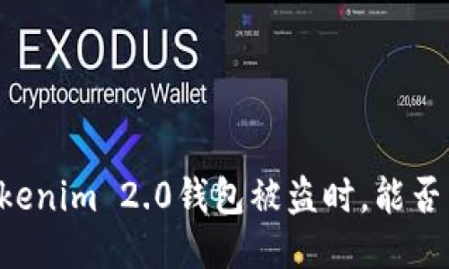 当你的Tokenim 2.0钱包被盗时，能否成功立案？