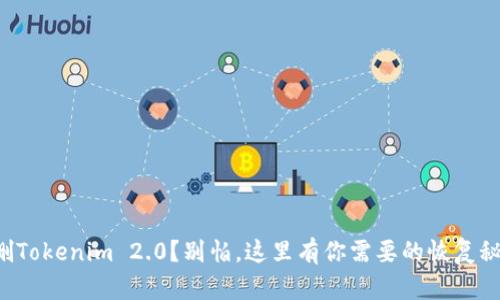 误删Tokenim 2.0？别怕，这里有你需要的恢复秘籍！