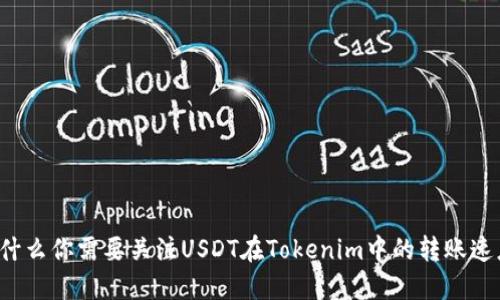 为什么你需要关注USDT在Tokenim中的转账速度？