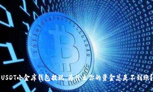 USDT小金库钱包提现，为什么你的资金总是不到账？