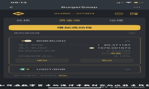 如何在数字货币的海洋中找到你的比特币钱包