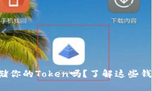 想要安全存储你的Token吗？了解这些钱包解决方案！