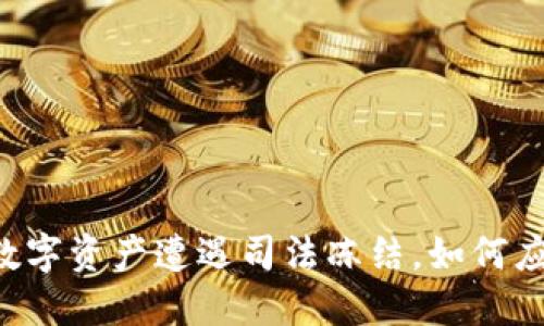 Tokenim：当数字资产遭遇司法冻结，如何应对这一危机？