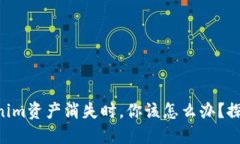 当你的Tokenim资产消失时，