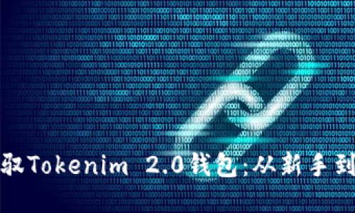 如何轻松驾驭Tokenim 2.0钱包：从新手到高手的转变