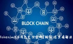 忘记Tokenim2.0钱包支付密码