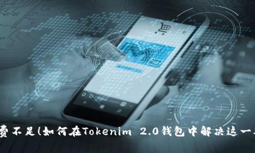 矿工费不足！如何在Tokenim 2.0钱包中解决这一难题？