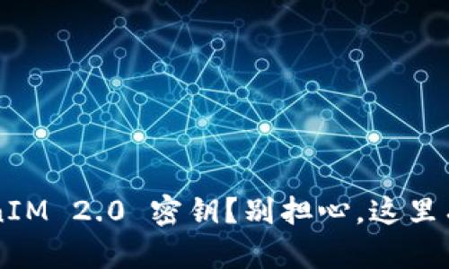 忘记 TokenIM 2.0 密钥？别担心，这里有解决方案！